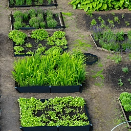 Ландшафтные дизайнеры