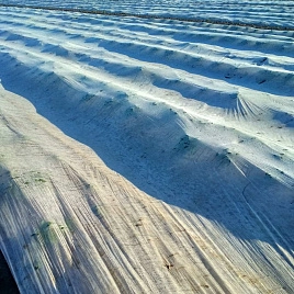 Товары для сада и огорода